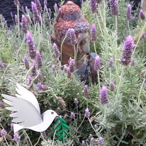 Meet your Posher, Della